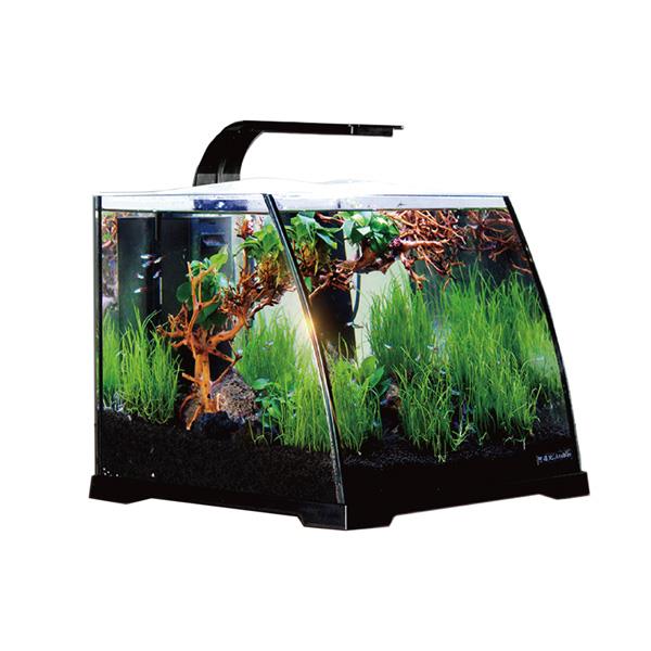 Anubias Nano Tank 30 x 29,8 x 25,7 Cm Siyah