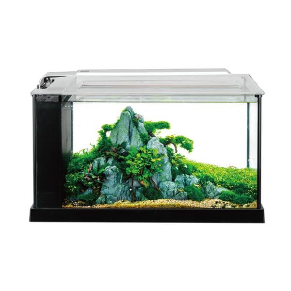 Anubias Nano Tank 52 x 22,7 x 30 Cm Siyah