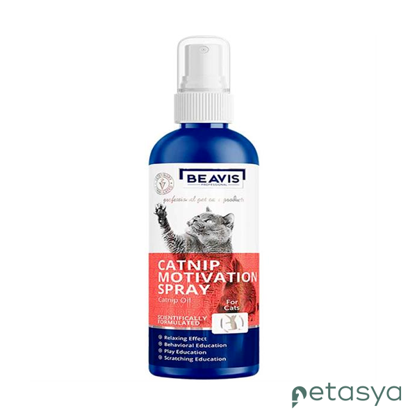 Beavis Kediler için Catnipli Oyun Spreyi 100ml