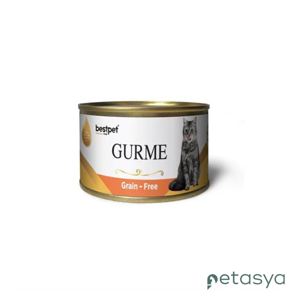 BestPet Gurme Jöle İçinde Somonlu  Tahılsız Yetişkin Kedi Konservesi 100 Gr