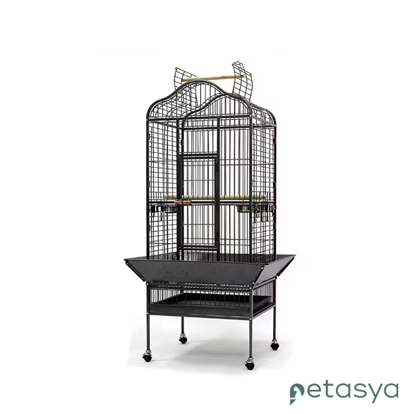 Dayang Ayaklı Papağan Eğitim Kafesi 61x56x156 cm