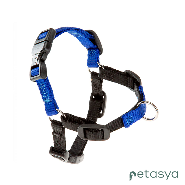 Ferplast Coach Göğüs Tasması(Mavi)[S-M]