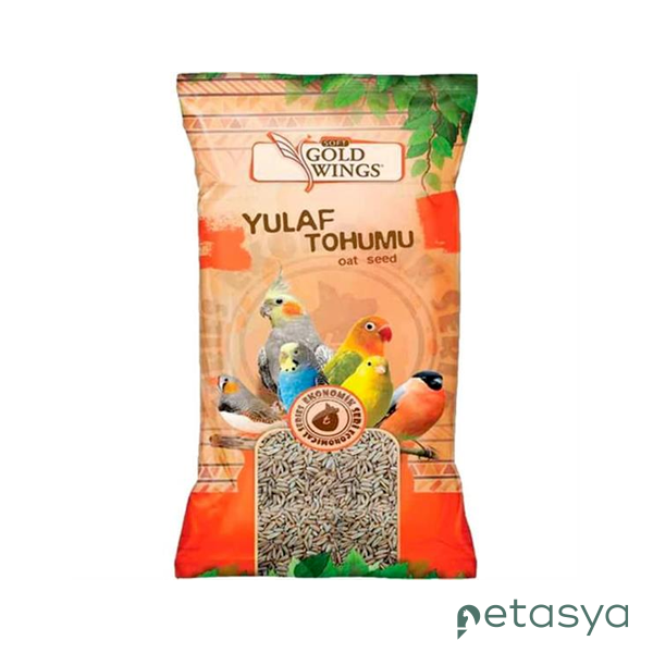 Gold Wings Yulaf Tohumu 300gr