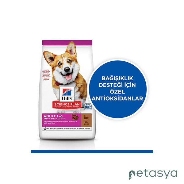Hills Kuzulu Küçük Irk Yetişkin Köpek Maması 1,5kg