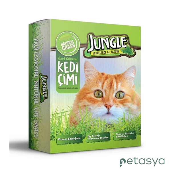 Jungle Fileli Kedi Çimi