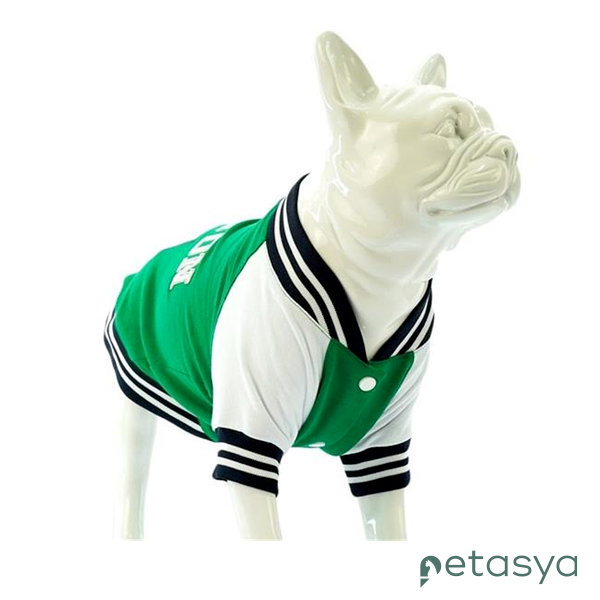 Lindo College Boston Köpek Sweatshirt(Beden 6)