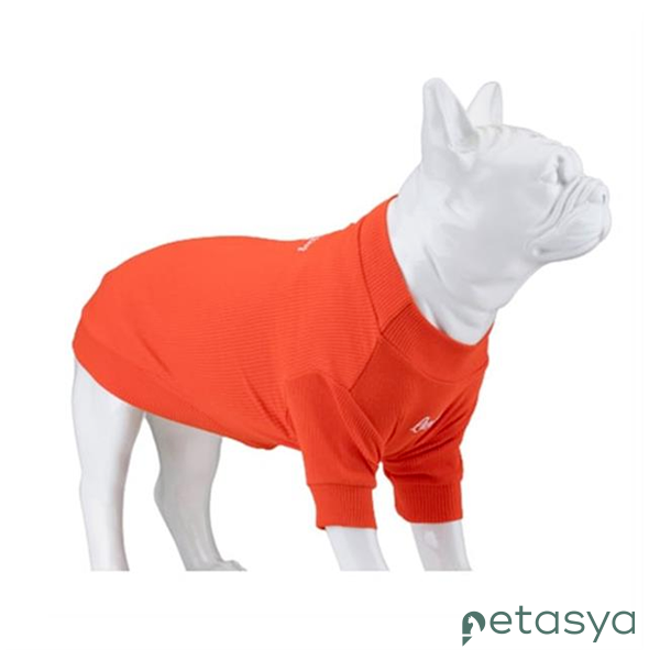 Lindo Flex Always Stay Free Köpek Tshirt(Beden 6)