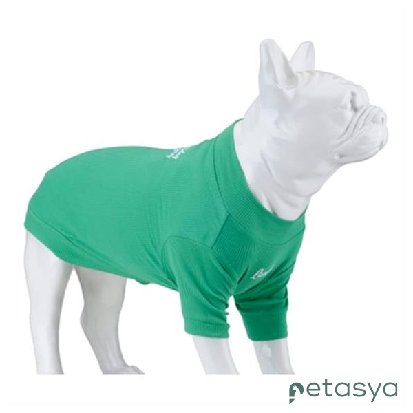 Lindo Flex Make Today Amazing Köpek Tshirt(Beden6)