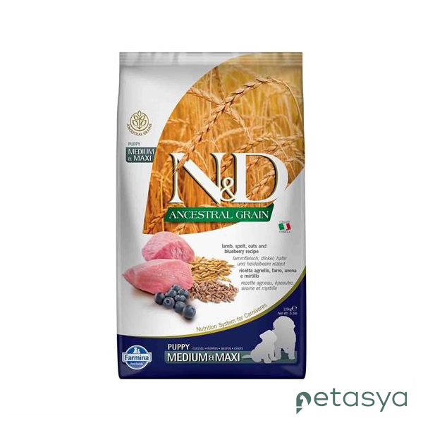N&D Ancestral Grain Kuzu Etli Yaban Mersinli  Orta ve Büyük Irk Az Tahıllı Yavru Köpek Maması 2,5 Kg