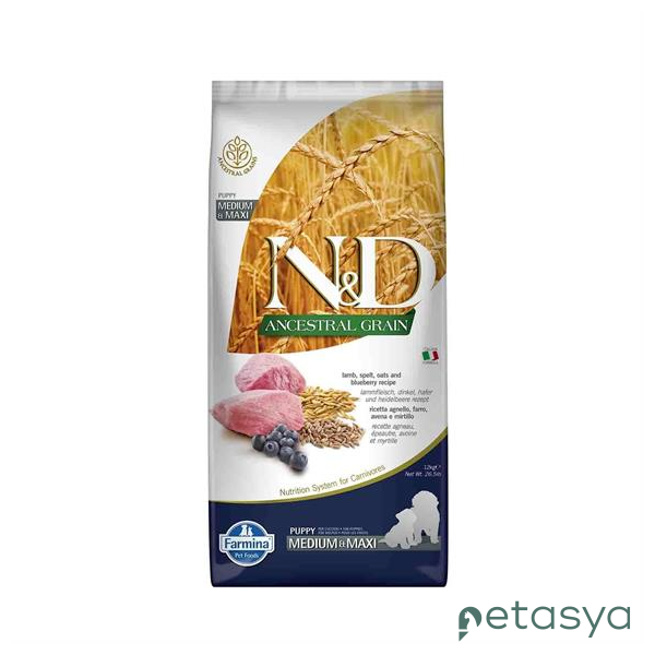 N&D Ancestral Grain Kuzu Etli Yaban Mersinli  Orta ve Büyük Irk Az Tahıllı Yavru Köpek Maması 12 Kg