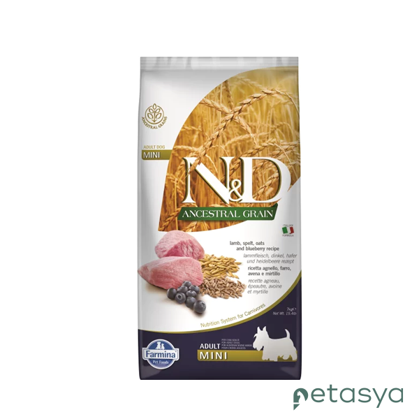 N&D Ancestral Grain Kuzu Etli Yaban Mersinli  Küçük Irk Ata Tahıllı Yetişkin Köpek Maması 7kg