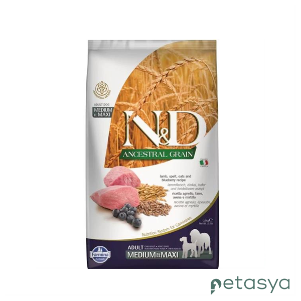 N&D Kuzu Etli ve Yaban Mersinli  Orta ve Büyük Irk Ata Tahıllı Yetişkin Köpek Maması 2,5 Kg