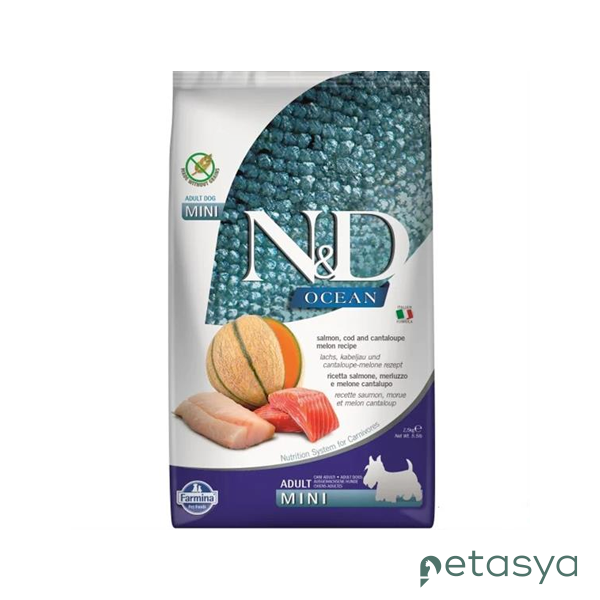 N&D Ocean Somonlu Morina Balıklı ve Kavunlu  Tahılsız Mini Irk Yetişkin Köpek Maması 2,5 Kg
