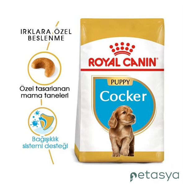 Royal Canin Cocker Junior Yavru Köpek Maması 3 Kg