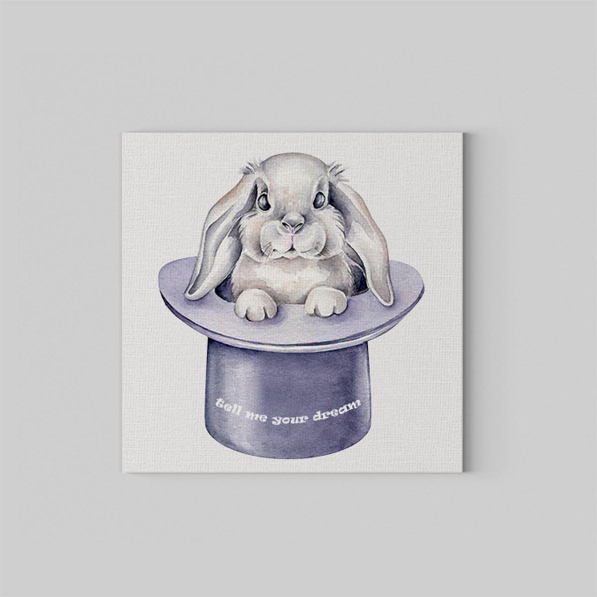  Dreamer Rabbit Kanvas Tablo