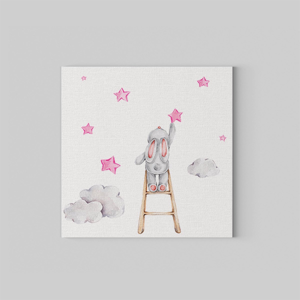 Pink Star Kanvas Tablo