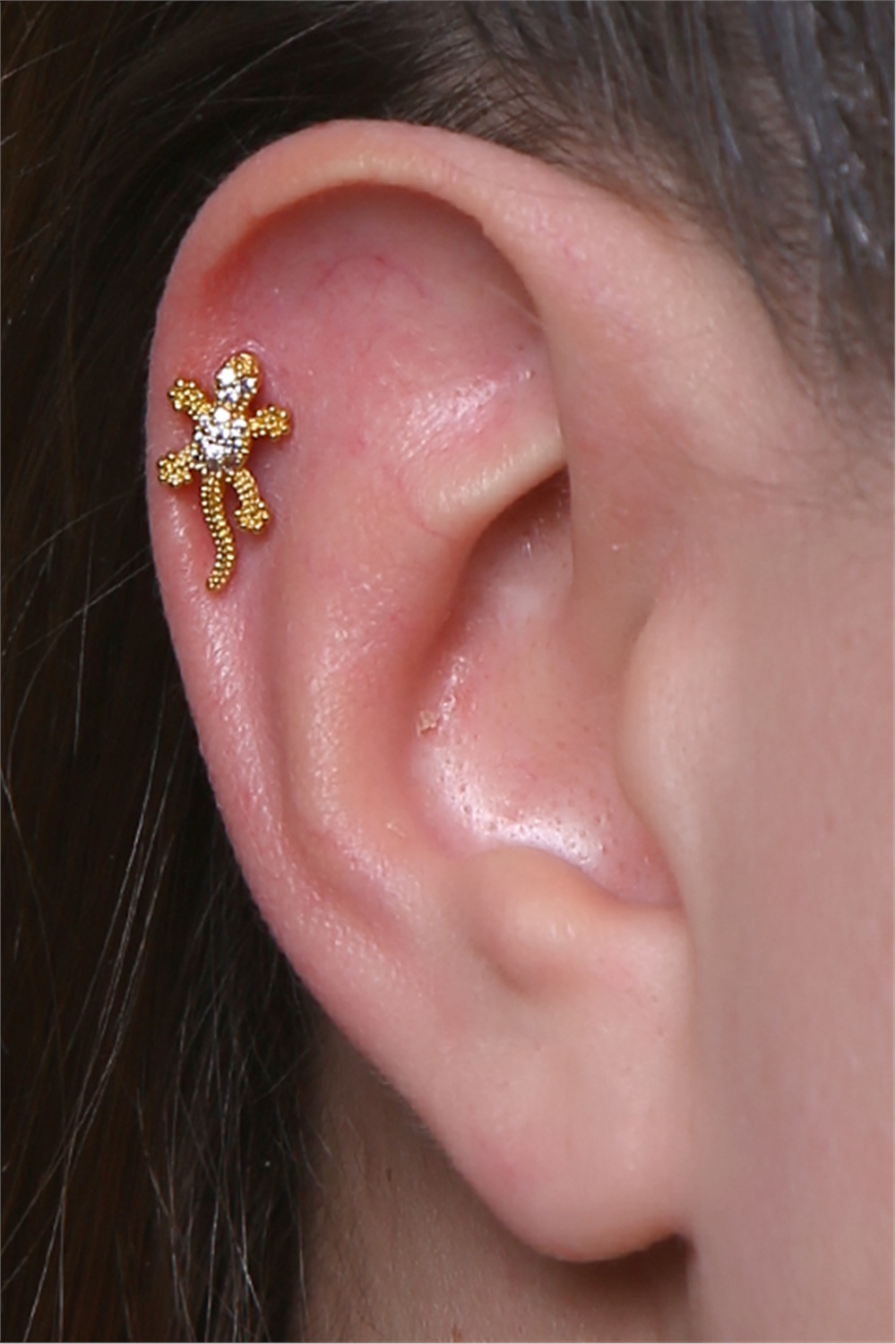 Kertenkele Gold Piercing