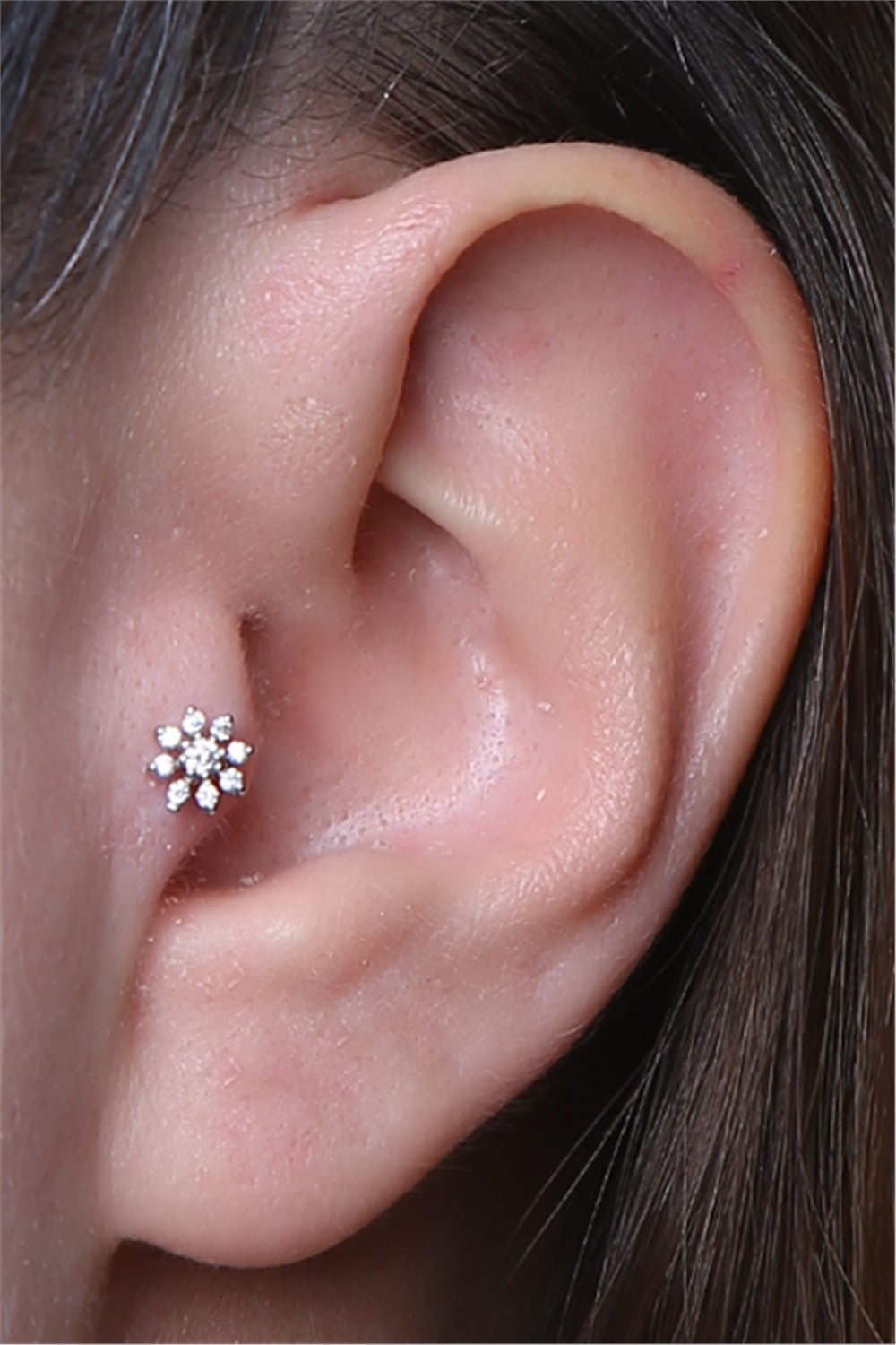 Sekiz Yaprak Çiçek Labret Silver Piercing
