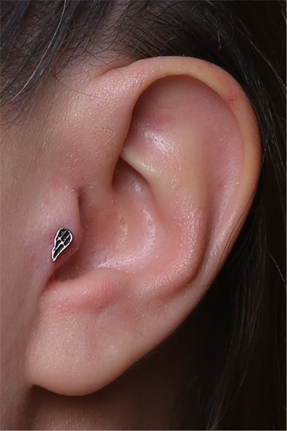 Tek Kanat Silver Piercing