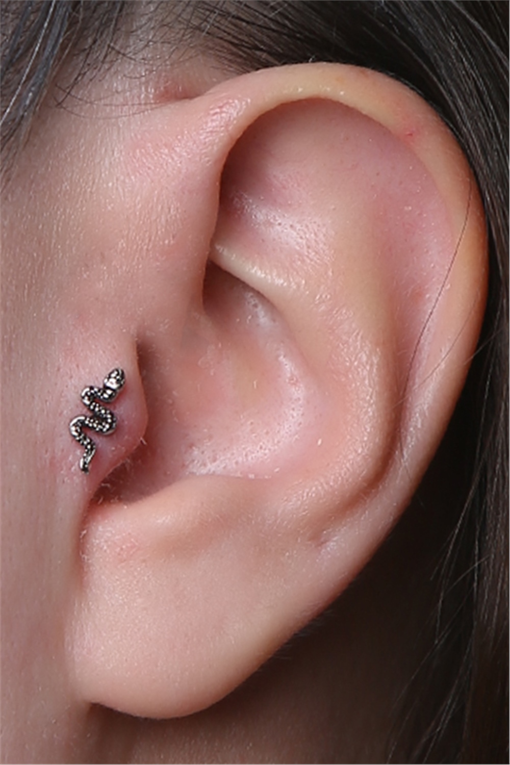 Yılan Labret Silver Piercing