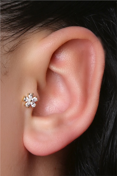 5 Damla Çiçek Gold Piercing