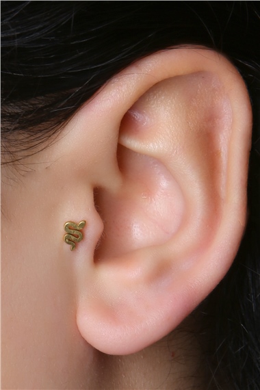 Basık Yılan Model Gold Piercing