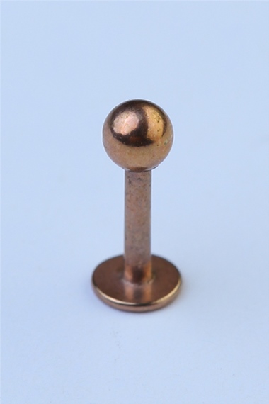 Düz Labret Rose Gold Piercing