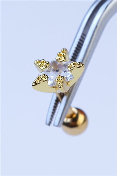Lüks Star Gold Piercing