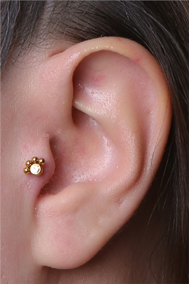 Pati İzi Labret Gold Piercing