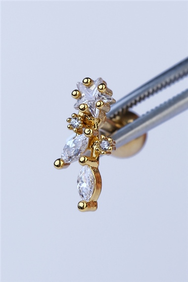 Rain Gold Piercing 