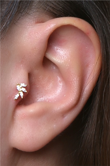 Sabit Kazayağı Gold Piercing