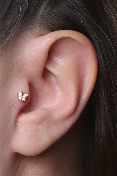 Sabit Kelebek Gold Piercing