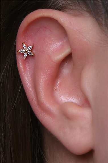Sabit Markiz Çiçek Gold Piercing 