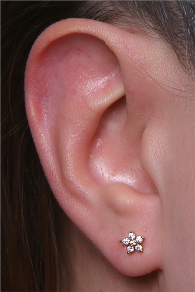 Sabit Yuvarlak Çiçek Gold Piercing