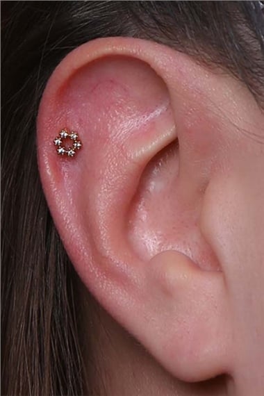 Taç Çiçek Gold Piercing