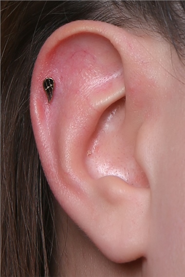 Tek Kanat Gold Piercing