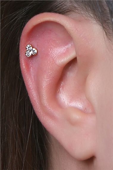 Üzüm Model Büyük Boy Gold Piercing
