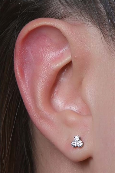 Üzüm Model Büyük Boy Silver Piercing