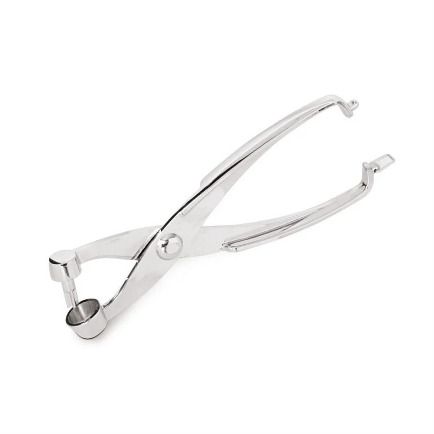 Cekırdek Cıkarıcı