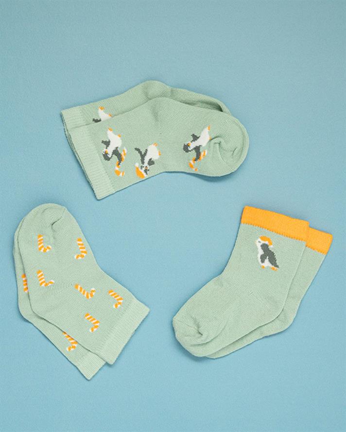 Little Penguin Cottony 3 Set Baby Socks 6-12 Ay Green