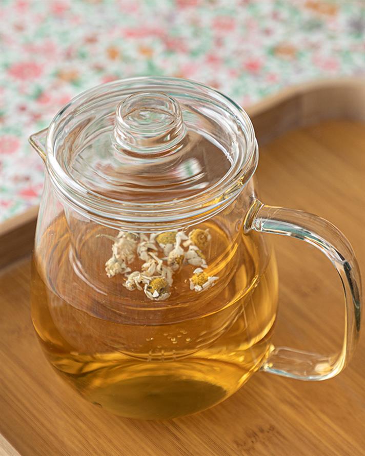 Avian Borosilicate Glass With Strainer Tea Pot 600 ml Transparent