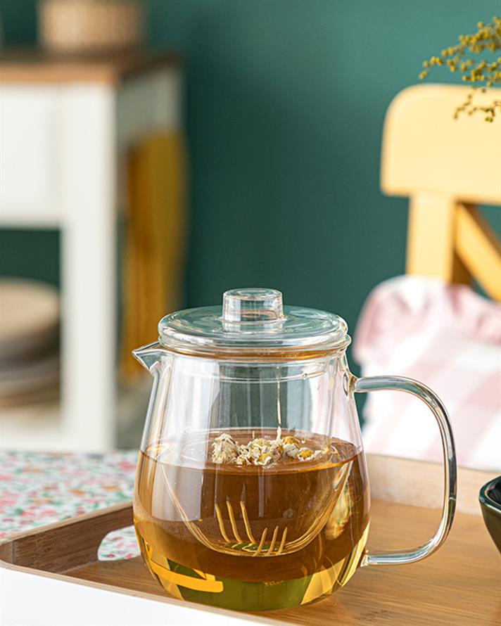 Avian Borosilicate Glass With Strainer Tea Pot 600 ml Transparent