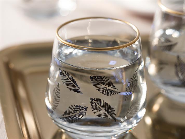 Birdena Glass 6 Set Served with Coffee Water Glass 115 ml Black-Gold