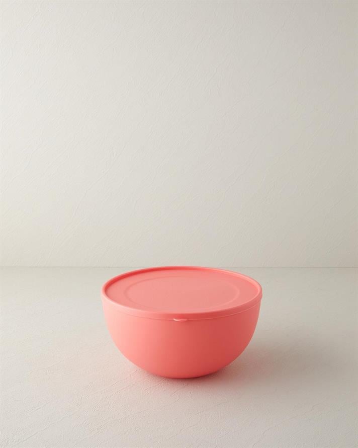 Plastic Recipient Depozitare 4 Lt Culoarea Trandafirului Uscat.