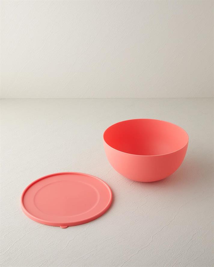 Plastic Recipient Depozitare 4 Lt Culoarea Trandafirului Uscat.