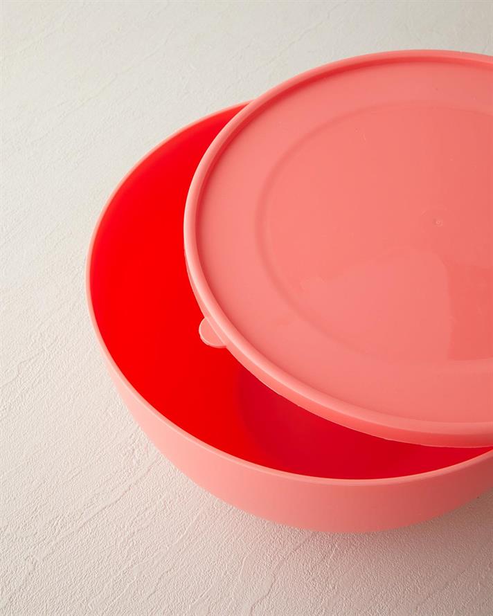 Plastic Recipient Depozitare 4 Lt Culoarea Trandafirului Uscat.