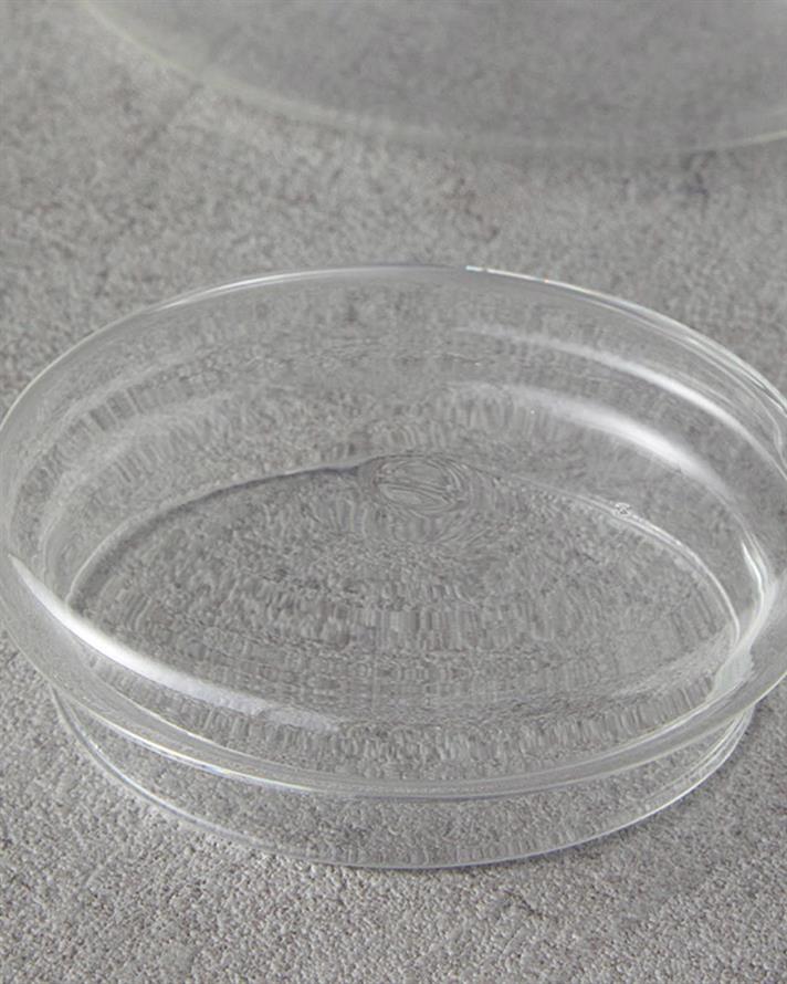 Borosilicate with Strainer Pot 700 ml Transparent