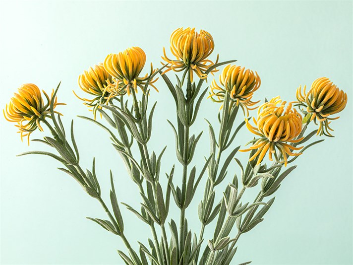Daisy Dream Artificial Flower - One Pc 35 cm Yellow