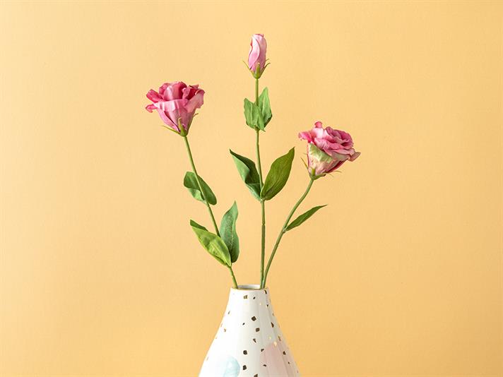 Deluxe Roses #  72 cm Fuschia