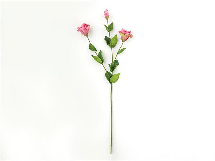 Deluxe Roses #  72 cm Fuschia